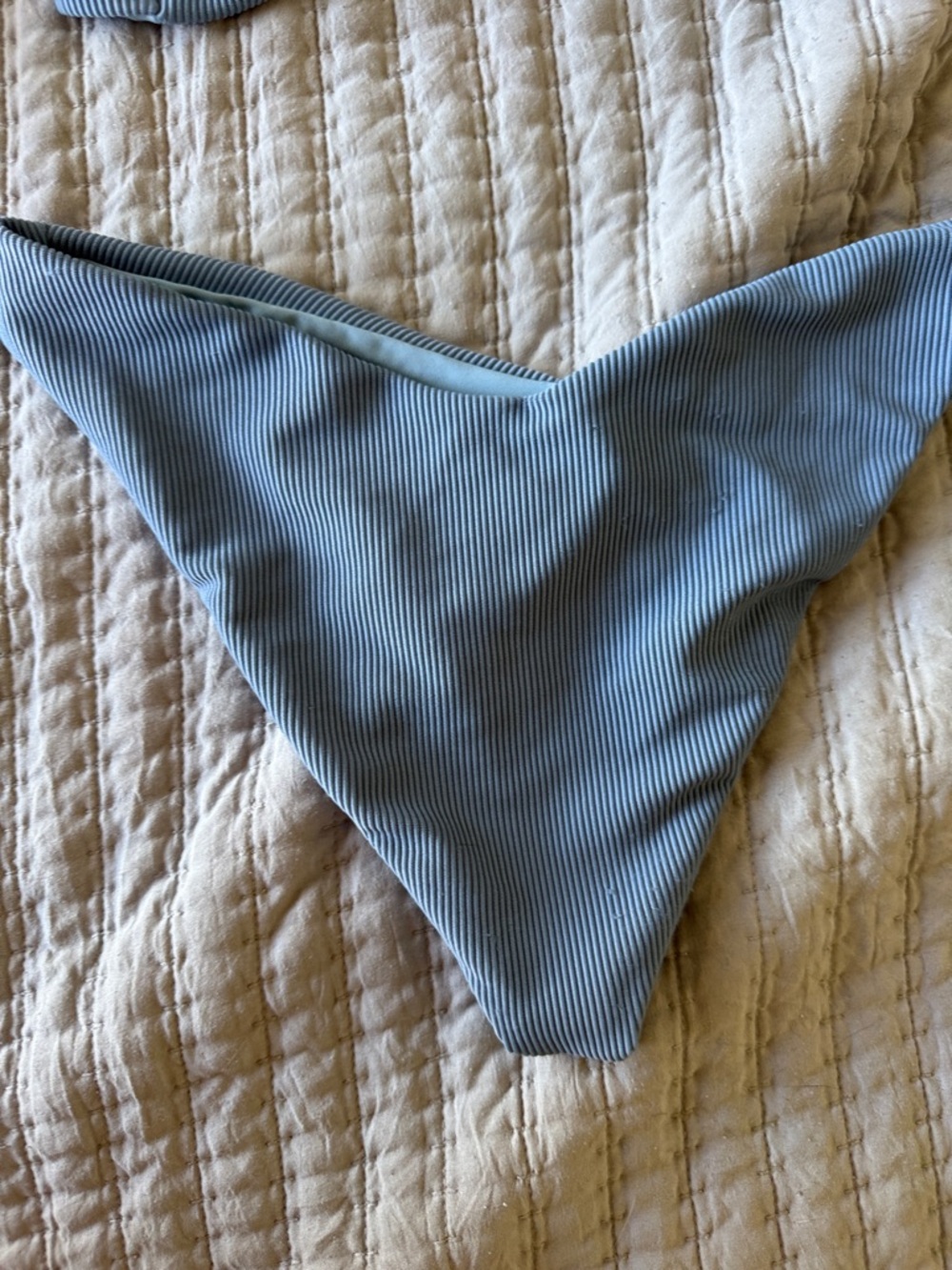 Beach Riot Bikini - Picture 5 of 9
